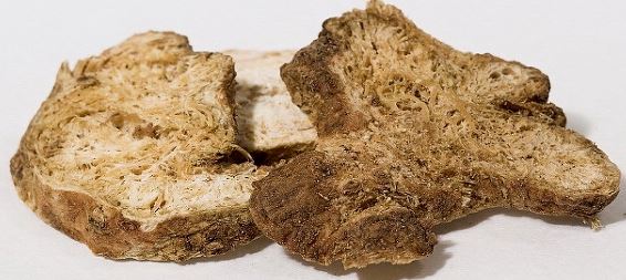 백출은 비위를 따뜻하게 하고 습한 기운을 없애 식욕 증진 및 소화장애 개선에 효과적이다.