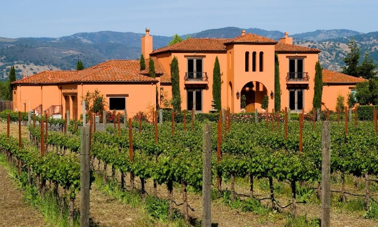 나파밸리는 캘리포니아의 다른 와인생산지보다 고도가 높아 기온과 일조량이 적당해  고급 와인을 위한 포도 재배에 적합하다.