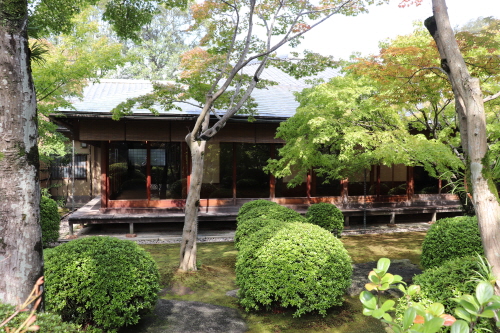 오호리공원 일본정원의 적막감이 평화롭게 느껴지는 다실