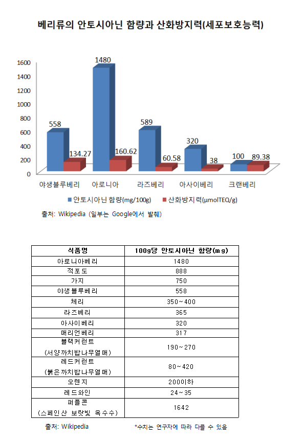 베리류의안토시아닌함량그래프와표.png