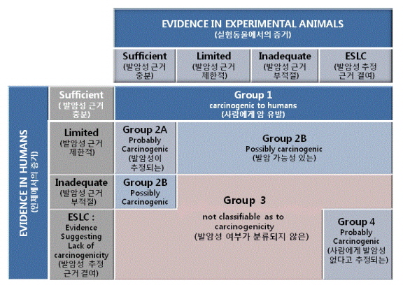 발암물질분류표.jpg