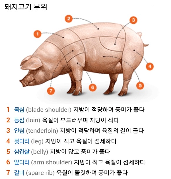 돼지고기 부위별 설명