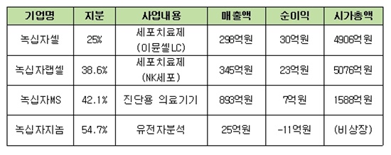 녹십자 주요 자회사의 지난해 실적(출처 하태기 SK증권 애널리스트 연구보고서)