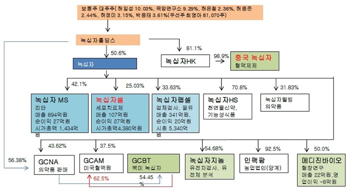 녹십자홀딩스의 경영구조 및 지난해 실적(출처 하태기 SK증권 애널리스트 연구보고서)