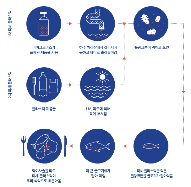 미세플라스틱이 인체내로 흡수되는 과정(자료 그린피스 제공) 