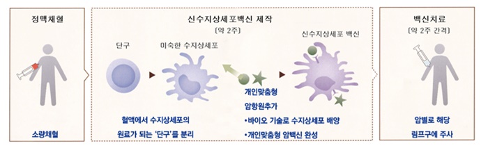 다가 신수지상세포 암백신 ‘아베백스’ 치료과정