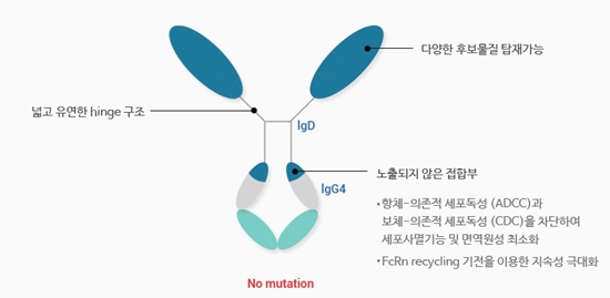 제넥신의 차세대 항체융합단백질 플랫폼 기술 ‘하이브리드항체’