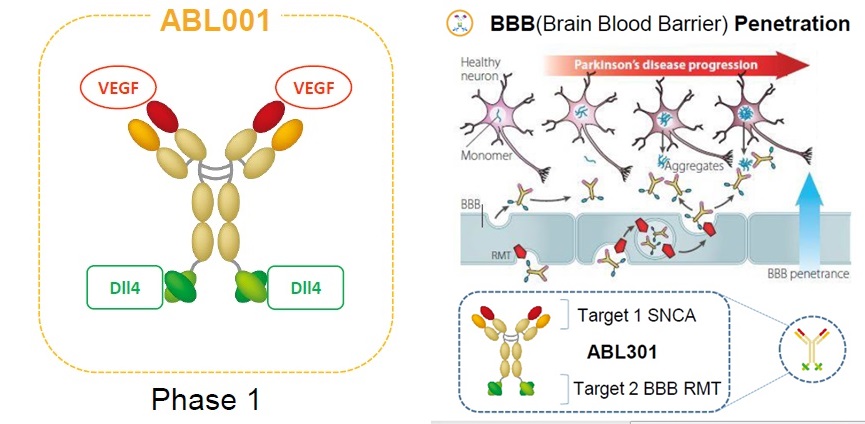abl바이오의 이중항체 기반 항암 신약후보물질 ‘ABL001’(왼쪽)과 파킨슨병신약 ‘ABL301’의 혈액·뇌장벽(BBB) 통과 기전 