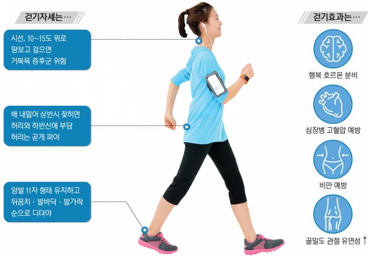 시속 5~7㎞ 속도로 빠르게 걷는 운동습관을 가진 사람은 모든 원인에 의한 사망 위험이 24% 감소했다. 