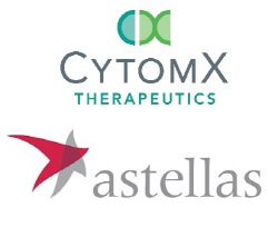 일본 아스텔라스제약(로고 아래)이 미국 바이오벤처 사이톰엑스테라퓨틱스(CytomX Therapeutics)와 암 치료용 항체를 개발하는 제휴를 맺었다.  