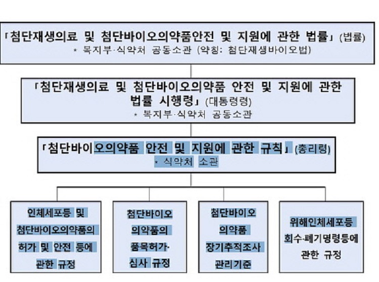 첨단재생바이오법 법률적 시행 체계도