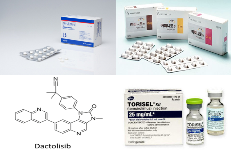 1세대 mTOR억제제인 화이자의 ‘라파뮨정’(윗줄 왼쪽부터 시계방향으로), 노바티스의 ‘아피니토정’, 화이자의 ‘토리셀주’ 등과 2세대 mTOR억제제인 노바티스의 ‘닥톨리십’ 