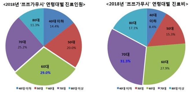 2018년 연령별 쯔쯔가무시 진료현황 및 진료비 