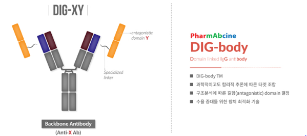 파멥신이 개발한 이중항체 제조 플랫폼 중 하나인 ‘DIG-body’ 구조도