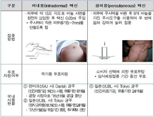 피내용·경피용 백신 비교표