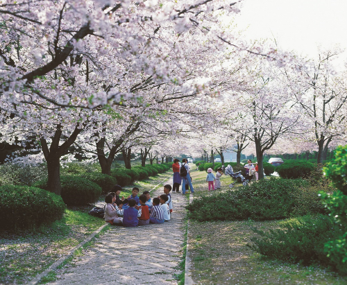 행락철 치아건강을 위해선 치실을 휴대하고 다니도록 한다. 치실질을 하다 출혈과 이상한 냄새가 나는 것은 더욱 열심히 관리하라는 시그널이다.