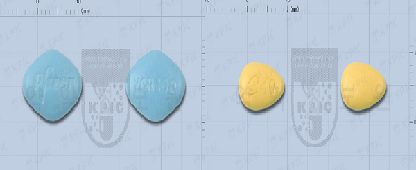 지난해 국산 제네릭 제품의 공세에 오리지널약품인 화이자제약의 ‘비아그라’(왼쪽)와 일라이릴리의 ‘시알리스’가 선두자리를 빼앗겼다.