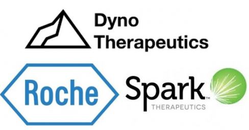 혁신적 유전자치료제 공동 개발에 제휴한 다이노테라퓨틱스(위쪽부터 시계방향으로·로고), 스파크테라퓨틱스, 로슈 