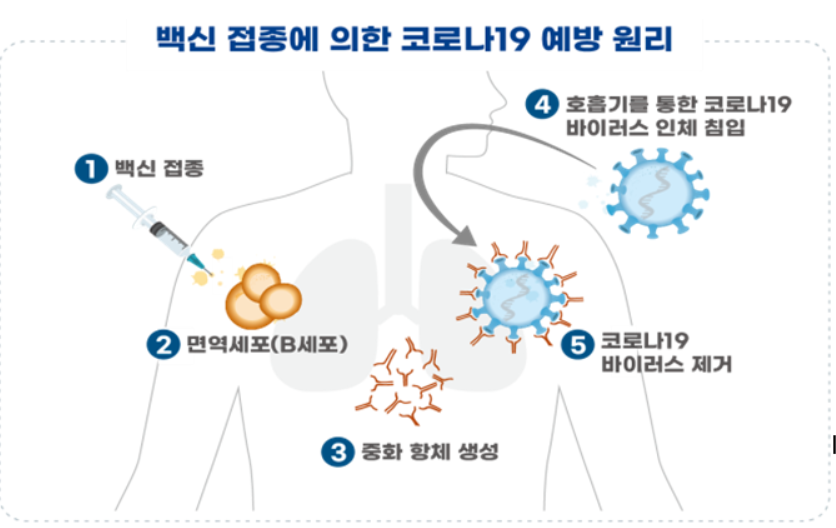 식품의약품안전처가 코로나19 백신 후보 물질 ‘유코백-19’ 임상시험계획을 21일 승인했다.