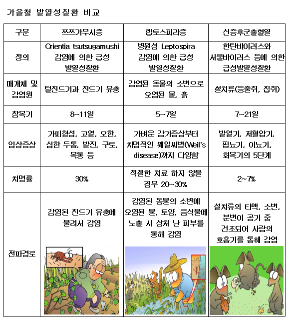 가을철 발열성질환 비교.png