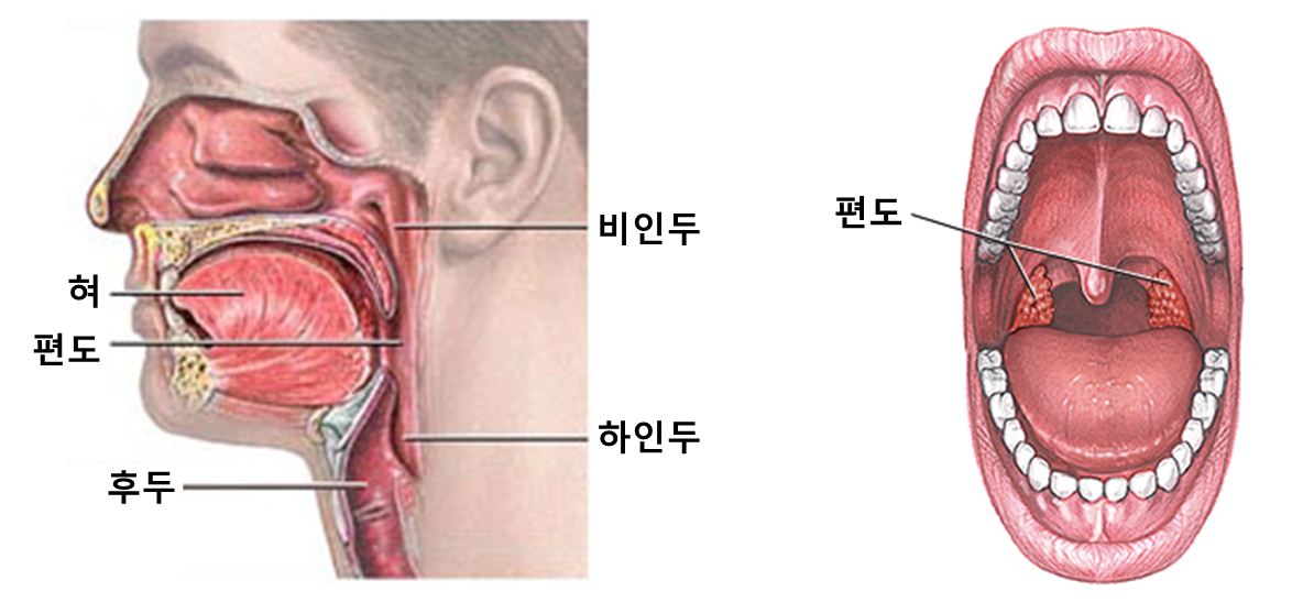 홍보용 1.JPG