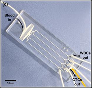 2012.10.15_혈액내 순환 암세포 검출 마이크로칩 개발_마이크로칩.JPG
