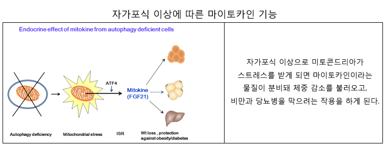 캡처 사본 복사 사본 2.png