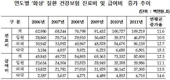 3.연도별화상질환건강보험.jpg