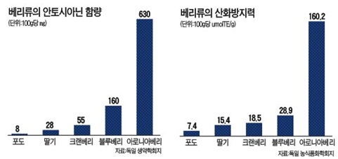 아로니아  항산화 비교표.jpg